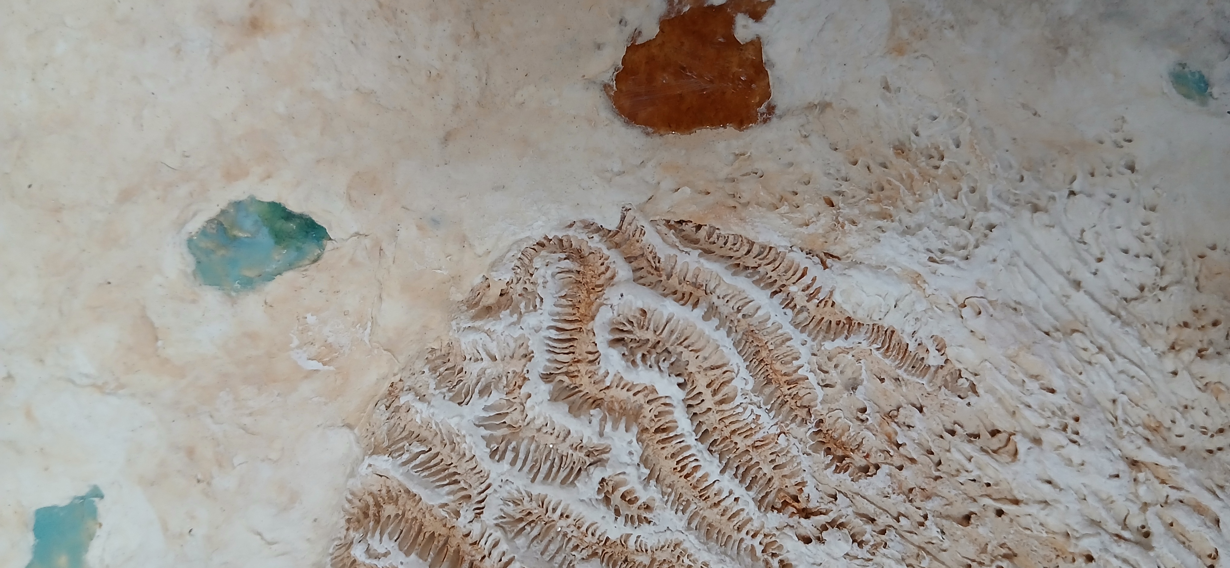 Fossil Feeling I Artwork